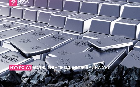 НҮҮРС УЛ БОЛЖ, МӨНГӨ ОД БОЛОХ ЦАГ ИРЭВ ҮҮ?