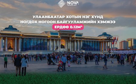 УЛААНБААТАРЫН ХИЙМЭЛ ЗҮЛЭГ ХОРТ ХАВДАР ҮҮСГЭГЧ ҮҮ?