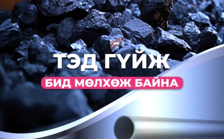 ТЭД ГҮЙЖ, БИД МӨЛХӨЖ БАЙНА