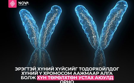 Эрэгтэй хүний хүйсийг тодорхойлдог хүний Y хромосом аажмаар алга болж хүн төрөлхтөн устах аюулд орно