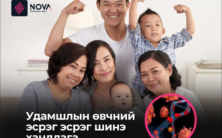 УДАМШЛЫН ӨВЧНИЙ ЭСРЭГ ШИНЭ ХАНДЛАГА