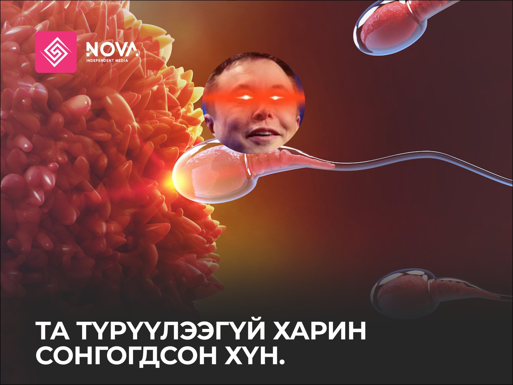 Та эр бэлгийн эсийн уралдаанд түрүүлээгүй, сонгогдсон хүн !
