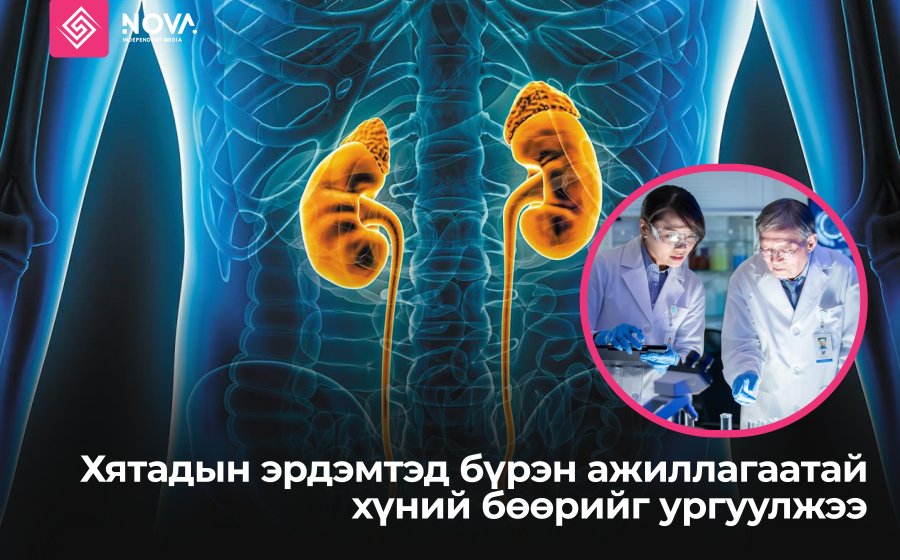 ХЯТАДЫН ЭРДЭМТЭД БҮРЭН АЖИЛЛАГААТАЙ ХҮНИЙ БӨӨРИЙГ УРГУУЛЖЭЭ