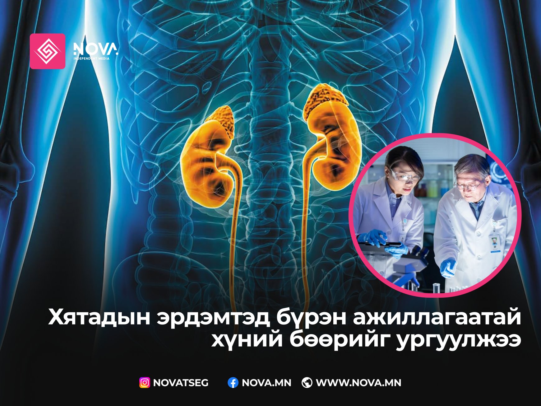 Хятадын эрдэмтэд бүрэн ажиллагаатай хүний бөөрийг ургуулжээ